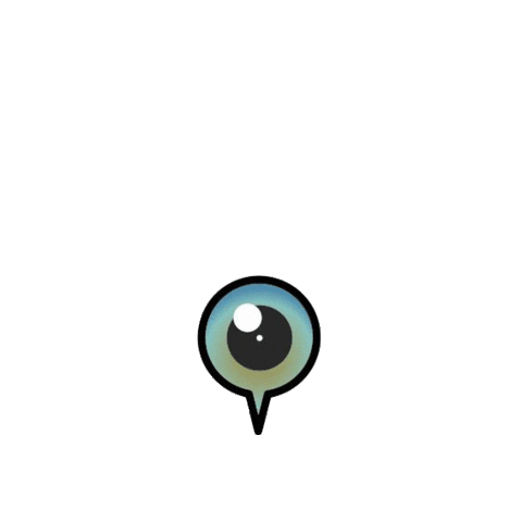panoramicams Sticker