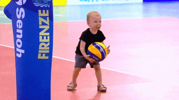 Red Dragons Awww GIF by Volleyball World