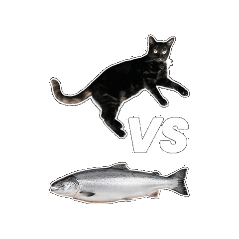 Cat Sticker by Rega Marketing