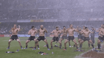 Rugby Union GIF