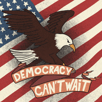 Act Now United States GIF by Creative Courage