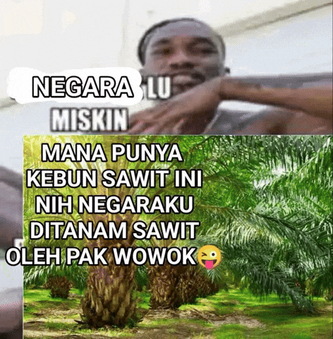Pria Sawit GIF