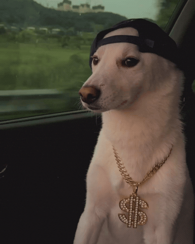 Drive Dawg GIF