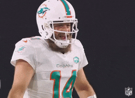 Miami Dolphins Dancing GIF by NFL