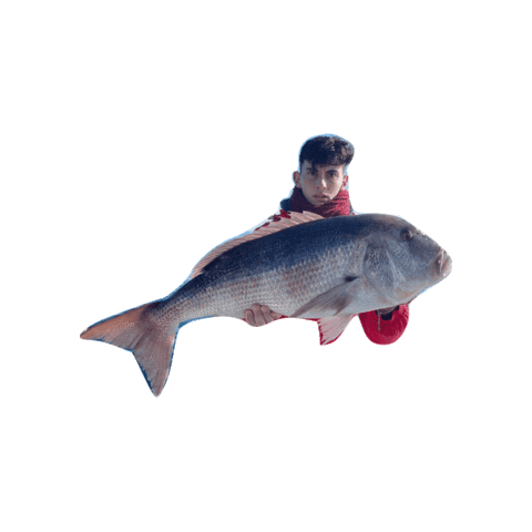 divateamfishing Sticker