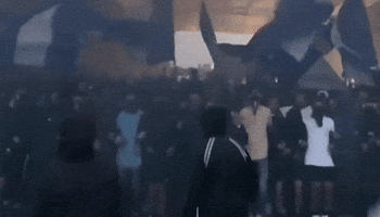 Thom Haye Viking GIF