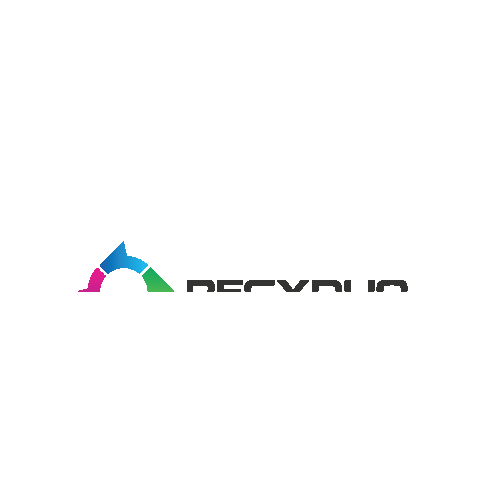 RECYDUO Sticker