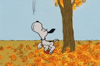 Charlie Brown Halloween GIF by Peanuts - Find & Share on GIPHY