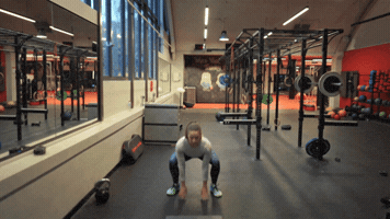 bec8888  GIF