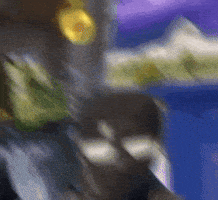 Question Mark Wtf GIF