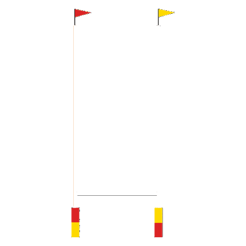 Rugby Match Sticker by RugbyBergamo