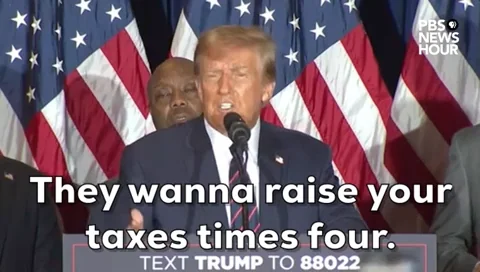 Donald Trump GIF