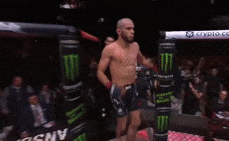 Grappling The Punisher GIF