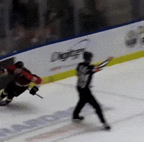 Whl GIF