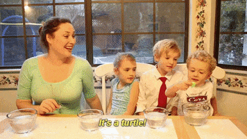 thymemachine cute punch turtle slamming fist on table GIF