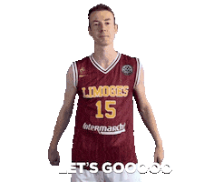Limoges CSP Sticker