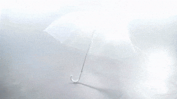 Effie GIF