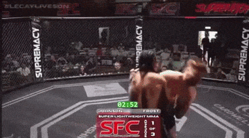 Slam Wrestler GIF