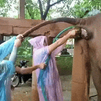 Pooping Fail GIF by raymond wong