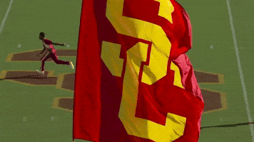 Fight On University Of Southern California GIF by USC Trojans