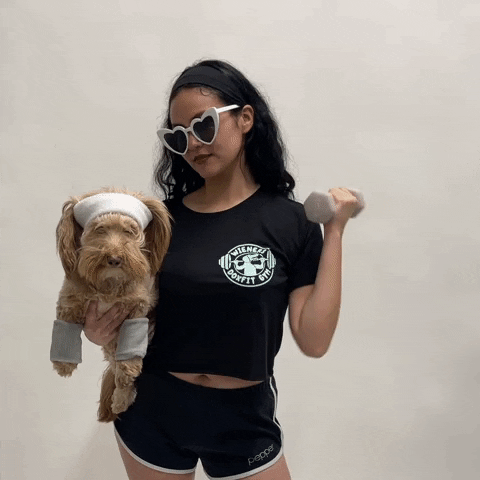 Wiener Dog Fitness GIF by beangoods