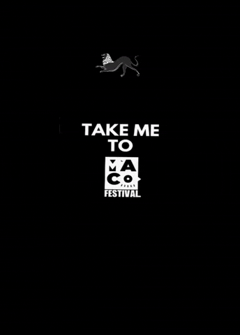 GIF by MacoFestval