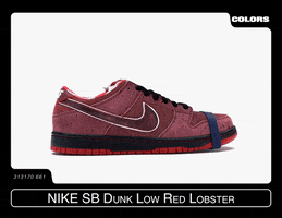 Nike Sb GIF by COLORS Sneakers