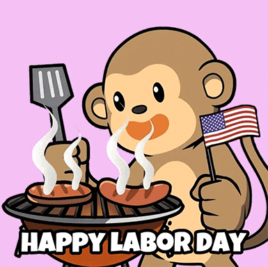 Labor Day Usa GIF by Wise Monkey Meme