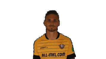 SG Dynamo Dresden Sticker