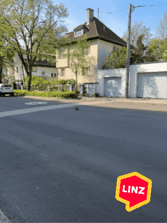 Austria Hello GIF by Linz News