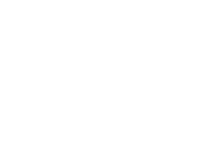 Leoniden Sticker by IRRSINNIRRSINN