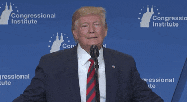 Donald Trump Orange GIF by Election 2020