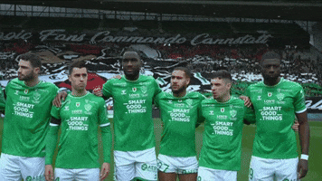 Geoffroy-Guichard Football GIF by AS Saint-Étienne