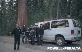 Skating Powell-Peralta GIF by Skate One