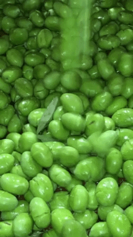 stergioudisolives food snack salt process GIF