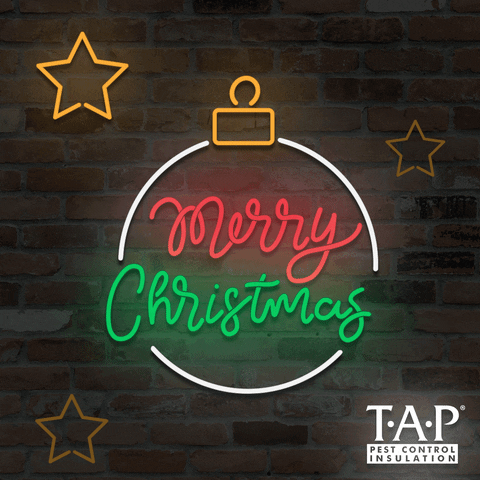 Christmas GIF