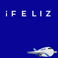 Happy New Year GIF by InterjetAirlines
