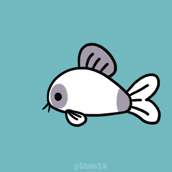 Fish No GIF by pikaole Find & Share on GIPHY