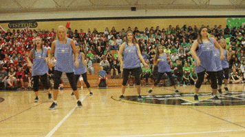fhntoday  GIF