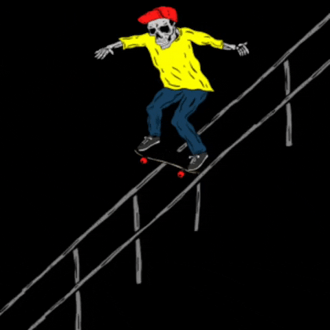 True Skate GIF