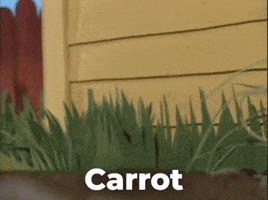 Season 1 Garden GIF by Nanalan' Season 1 Garden GIF by Nanalan'