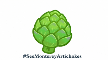 SeeMonterey GIF