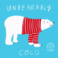 Freezing Polar Bear GIF by Susanne Lamb