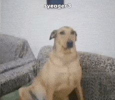 Good Morning Waiting GIF