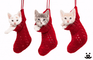 Christmas Save Them All GIF by Best Friends Animal Society