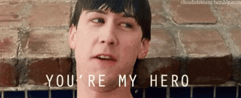 My Hero GIF by memecandy