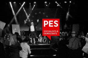 european parliament politics GIF by Party of European Socialists