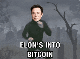 Cryptocurrency Tesla GIF by Bitcoin & Crypto Creative Marketing