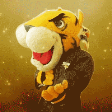 Rose Valentines GIF by Towson University
