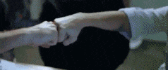 Sistema Ailos GIF